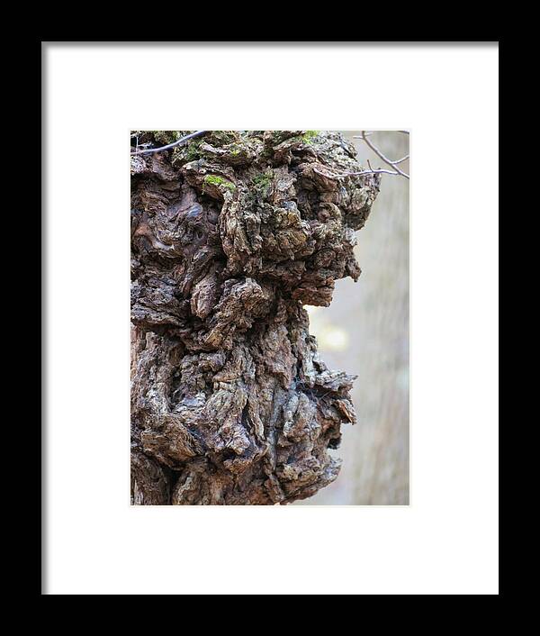 Tree Framed Print featuring the photograph Faces by Azthet Photography