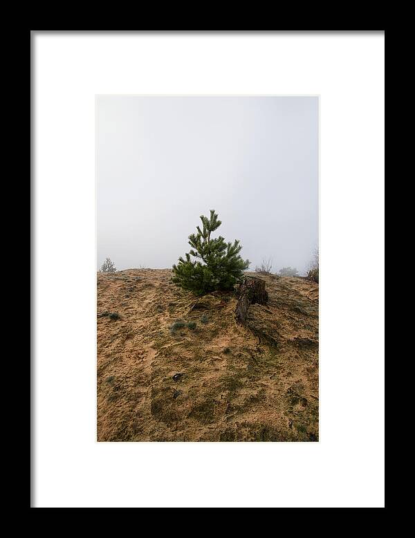 Pine Framed Print featuring the photograph Faces Of Maasduinen 25 by Jaroslav Buna