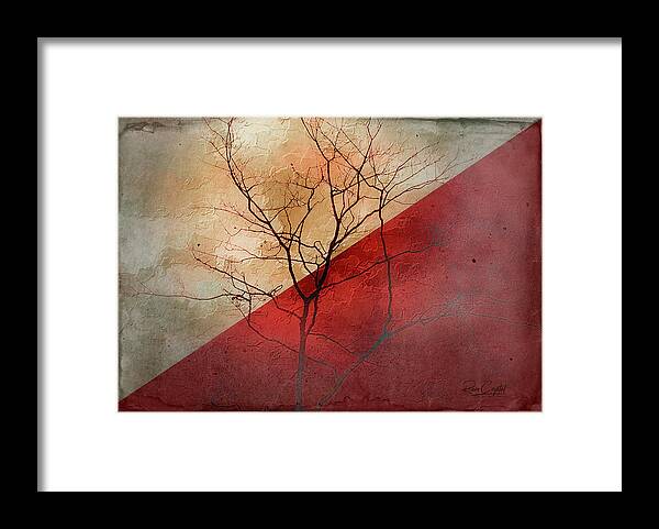 Trees Framed Print featuring the photograph Fading Fast by Rene Crystal