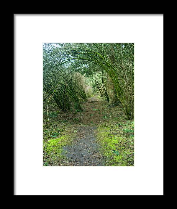Path Framed Print featuring the photograph Fairyland by Leslie Struxness