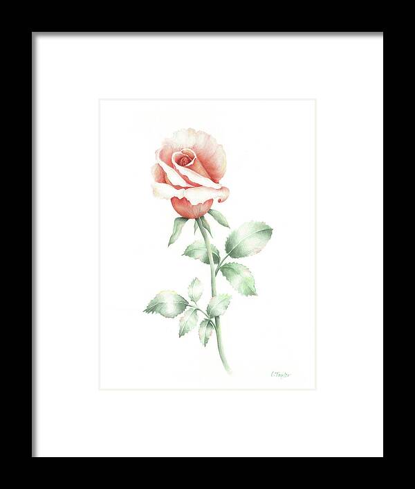 Rose Framed Print featuring the painting Faith by Lori Taylor