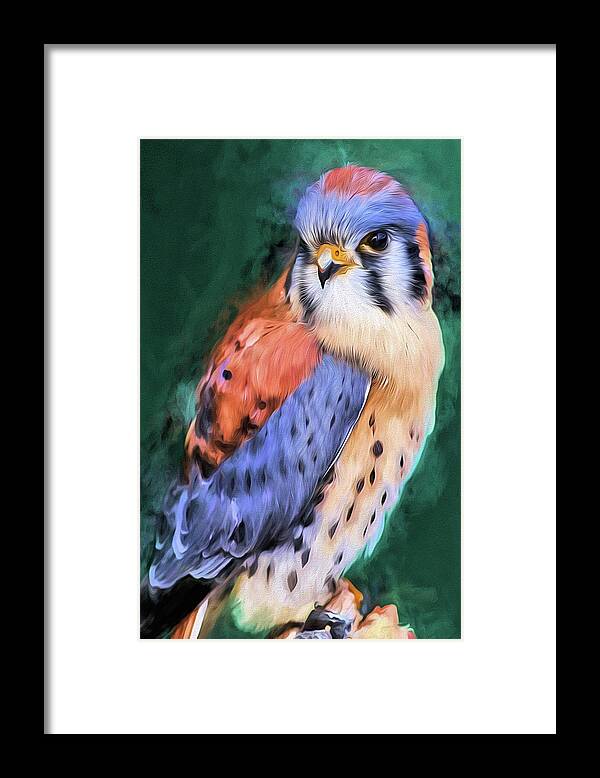 Bird Framed Print featuring the digital art Falco Sparverius by Kyle Findley