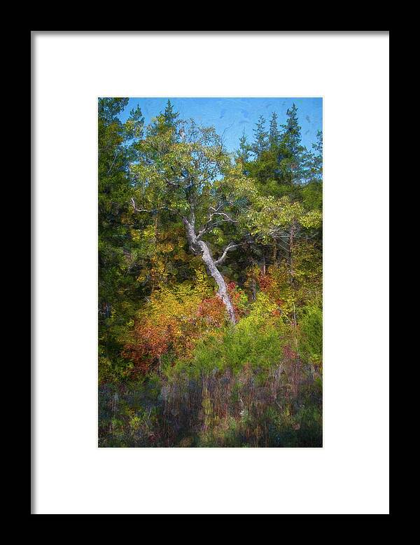 Nature Framed Print featuring the photograph Seasons Change #1 by Linda Shannon Morgan