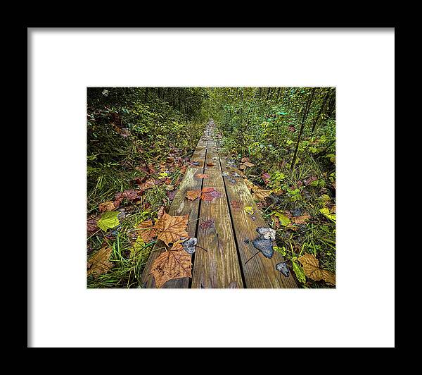  Framed Print featuring the photograph Fall Boardwalk Two by Josh Williams