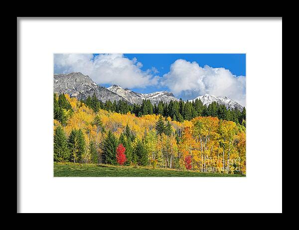 British Columbia Framed Print featuring the photograph Fall color, Rocky Mountains, BC, Canada by Michael Wheatley