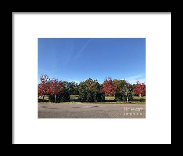 Fall Colors Framed Print featuring the photograph Fall Colors in Colonial Heights by Catherine Wilson