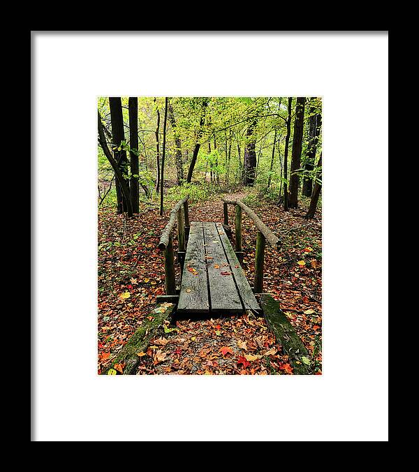 Hawthorn Hollow Framed Print featuring the photograph Fall Crossing by Scott Olsen