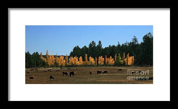 Arizona Framed Print featuring the photograph Fall in Line 2 by Randy Oberg