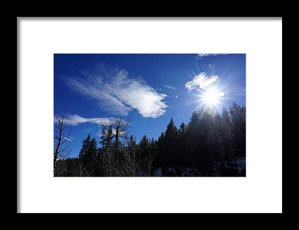 Fall Framed Print featuring the photograph Fall in the Sierra Nevada Mountains by Brent Knippel