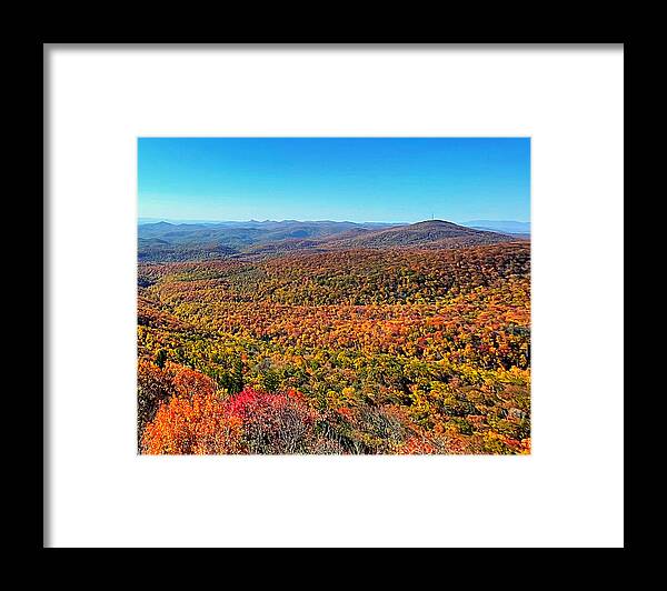 Blue Ridge Parkway Framed Print featuring the photograph Fall Leaves by Lee Darnell