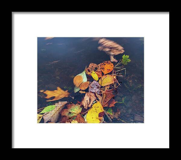 Fall Framed Print featuring the photograph Fall Leaves On The Water by Amelia Pearn