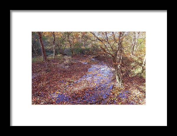 Fall Framed Print featuring the photograph Fall Leaving by Ed Williams