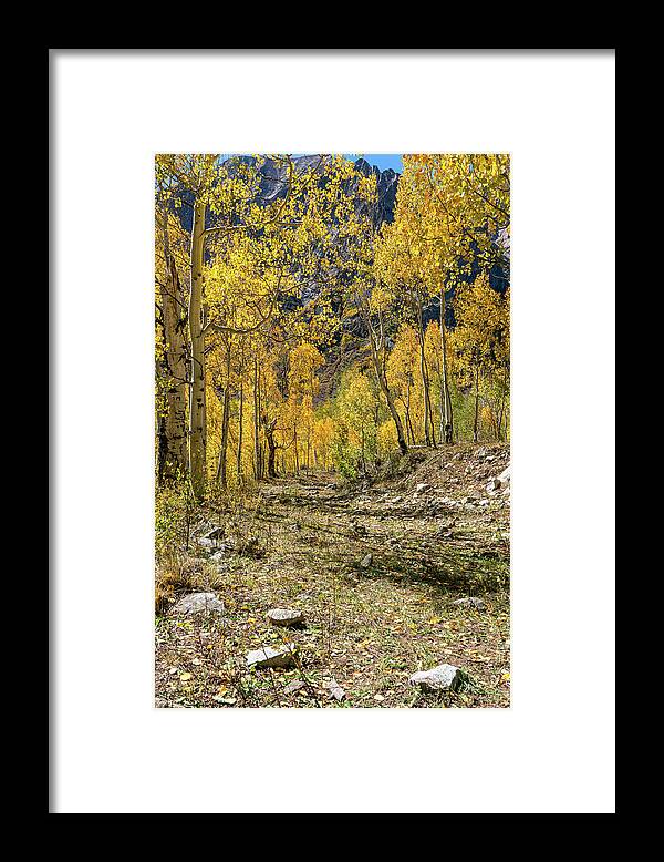 Aspens Framed Print featuring the photograph Fall Mountain Road by Ron Long Ltd Photography