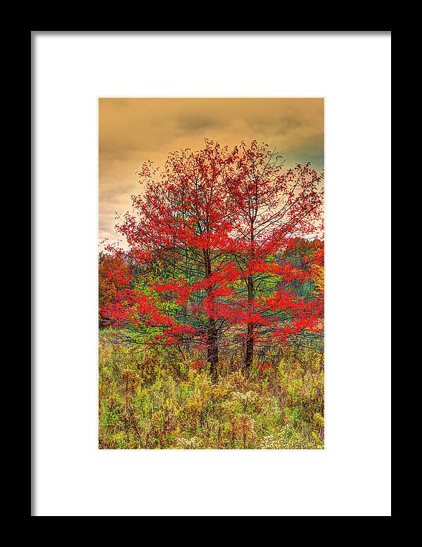 Fall Framed Print featuring the photograph Fall Painting by Skip Tribby