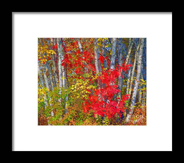  Framed Print featuring the photograph Fall Palette by Carol Randall