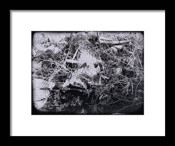 Tree Framed Print featuring the photograph Fallen Tree by Christopher Reed