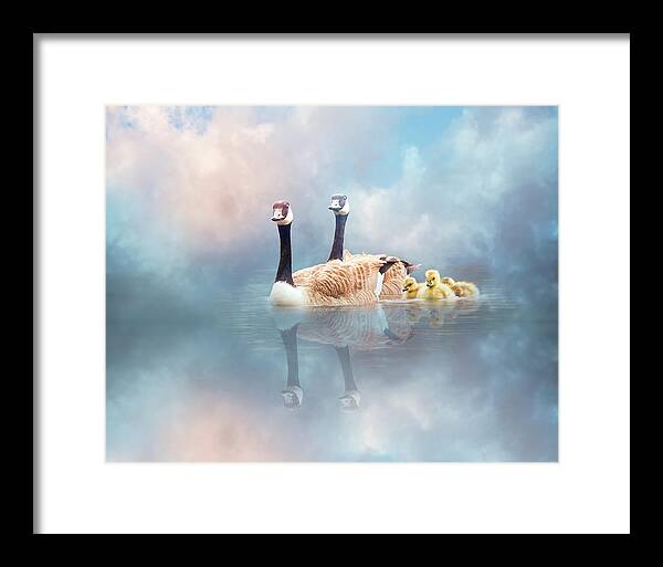 Swan Framed Print featuring the digital art Family Cruise by Nicole Wilde