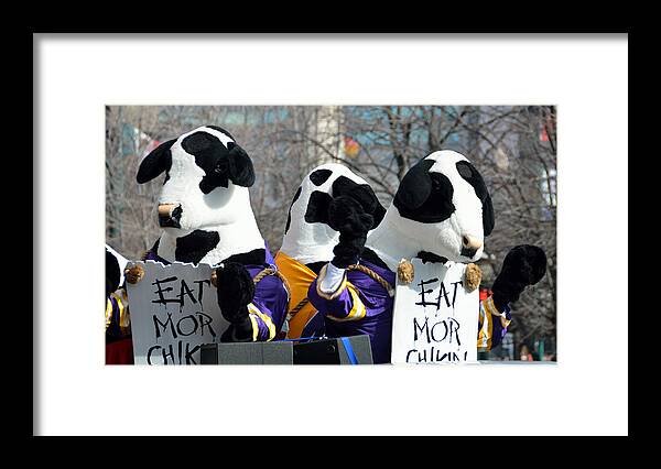 Atlanta Framed Print featuring the photograph Famous Chick-fil-A Cows by Paulbr