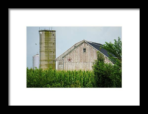 Amish Framed Print featuring the photograph Farm Shapes and Bird by Tana Reiff