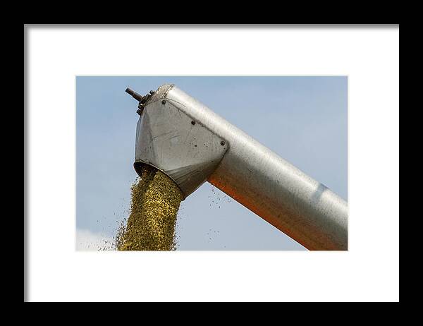 Working Framed Print featuring the photograph Farmer uses machine to harvest rice on paddy field in Sabak Bernam, one of the major rice supplier in Malaysia. by Shaifulzamri