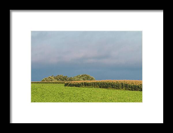 Corn Framed Print featuring the photograph Farmer's Field by Patti Deters