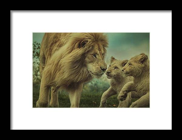 Lion Framed Print featuring the photograph Fearless Father by Carrie Ann Grippo-Pike