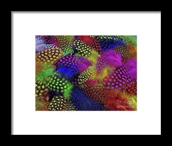 Guinea Framed Print featuring the photograph Feather Art 11 by D Hackett