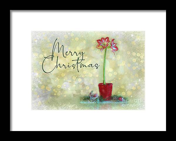 Amaryllis Framed Print featuring the digital art Feeling Merry by Amy Dundon