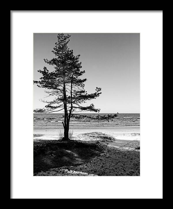 Framed Print featuring the photograph Feelings nothing more.. by Aleksandrs Drozdovs