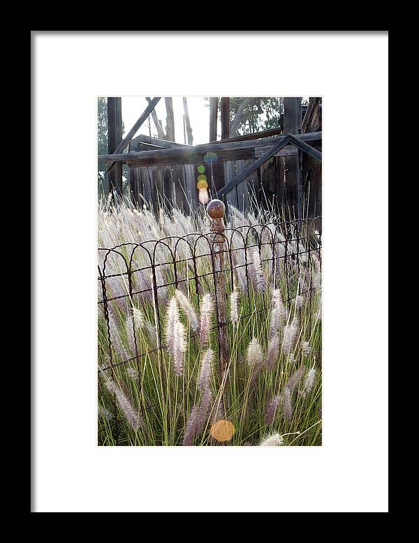 Antique Framed Print featuring the photograph Fence Post by Gina Cinardo