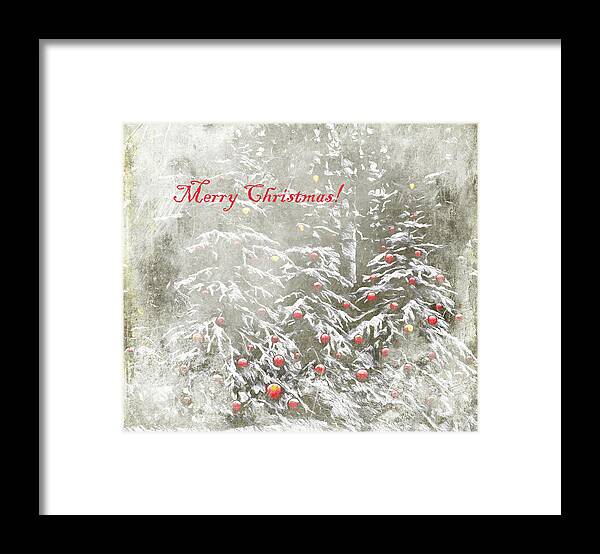 Tree Framed Print featuring the photograph Festive Forest by Kathy Bassett