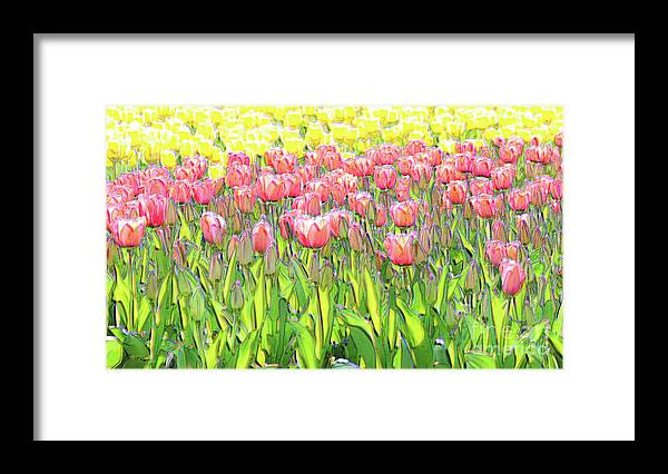 Nature Framed Print featuring the photograph Field of Tulips by Bentley Davis