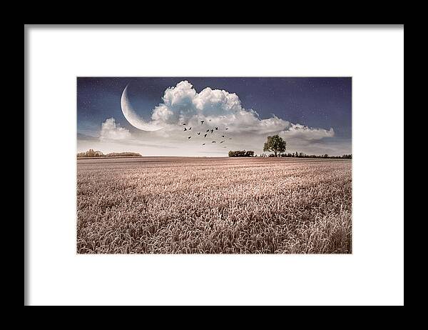 Neutral Framed Print featuring the photograph Fields in Early Evening Soft Nightfall by Debra and Dave Vanderlaan