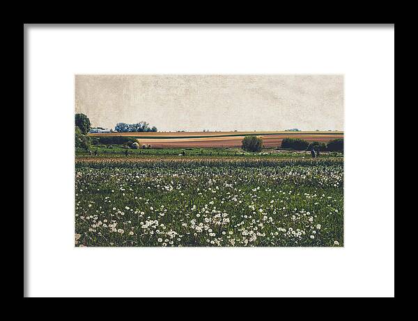 Field Framed Print featuring the photograph Fields of flowers by Yasmina Baggili