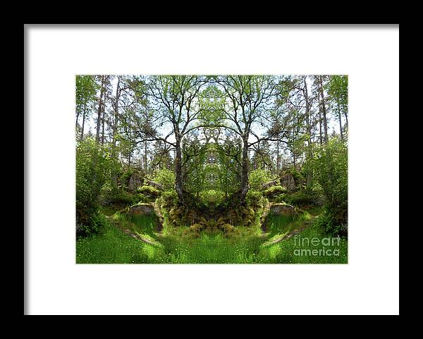 Scotland Framed Print featuring the photograph Fiodh Antlers by PJ Kirk