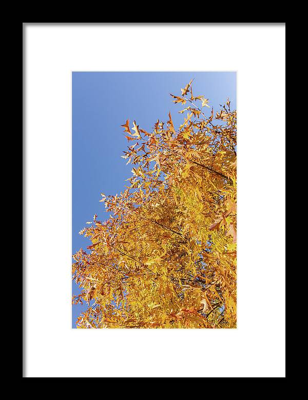 Abstract Framed Print featuring the photograph Fire Fall by Bruce Davis