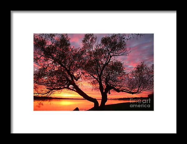 Pandemic Sunset Framed Print featuring the photograph Fire in the Pandemic Sky by Tony Lee