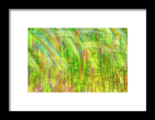 Fireweed Framed Print featuring the photograph Daisies and Fireweed - Abstract 4 by Kathy Paynter