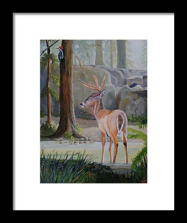 Deer Framed Print featuring the painting Forrest Deer by Connie Rish