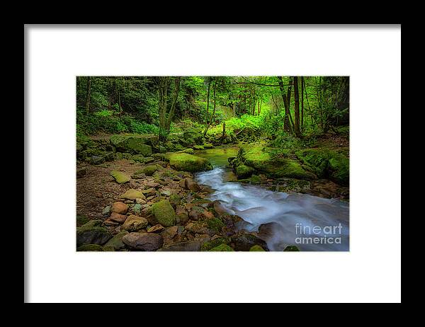 Morning Framed Print featuring the photograph First Light at Rocky Fork by Shelia Hunt