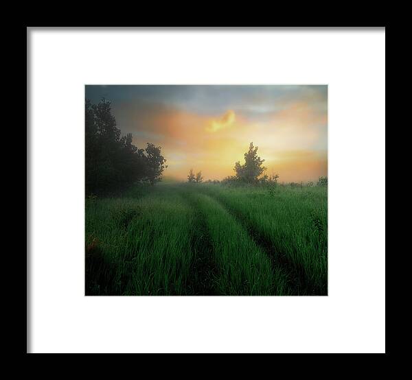 Landscape Framed Print featuring the photograph First Morning of Summer by Dan Jurak