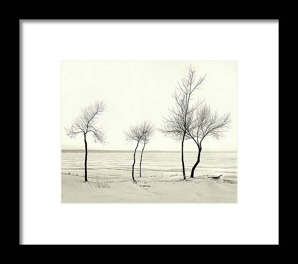 Lake Framed Print featuring the photograph Five Lone Trees - Caseville, Michigan USA - by Edward Shotwell