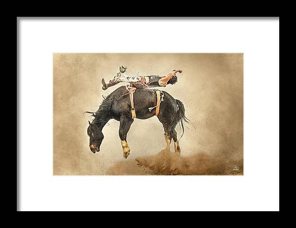 Bronc Framed Print featuring the photograph Flat Out by Debra Boucher