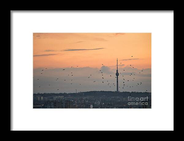 Tv Tower Framed Print featuring the photograph Flight along the tv tower by Yavor Mihaylov