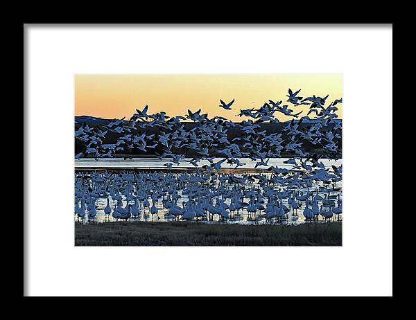 Usa Framed Print featuring the photograph Flight Deck Take Off by Jennifer Robin