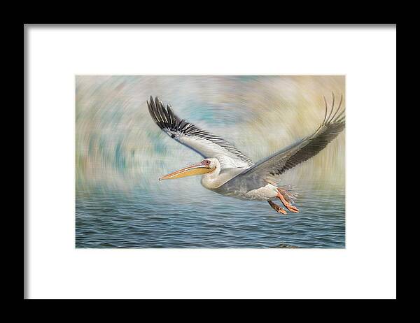 Great White Pelican Framed Print featuring the photograph Flight of a Great White Pelican by Belinda Greb