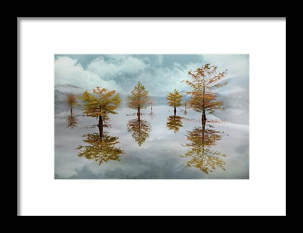 Tree Framed Print featuring the photograph Floating into Autumn Mist by Debra and Dave Vanderlaan