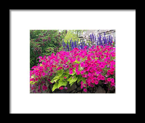 Colorful Flowers Framed Print featuring the photograph Floral Medley Closeup by Karen Zuk Rosenblatt