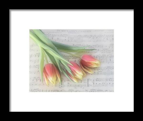 Flowers Framed Print featuring the photograph Floral Melodies by Sylvia Goldkranz