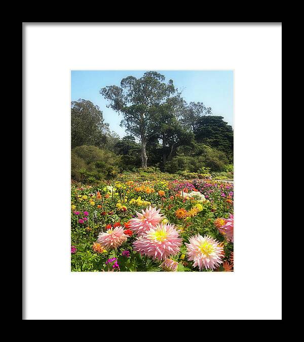  Framed Print featuring the photograph Floral Overload by Louis Raphael